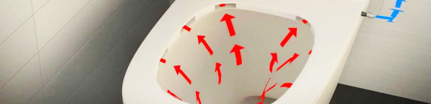 cucarachas y ratas en retrete inodoro