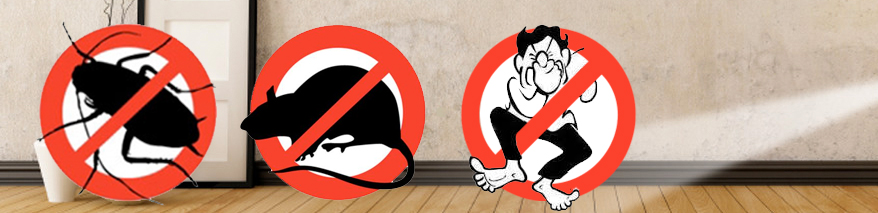 cucarachas y ratas en retrete inodoro