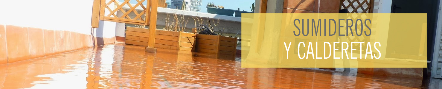 Problemas ratas y roedores en baños y terrazas