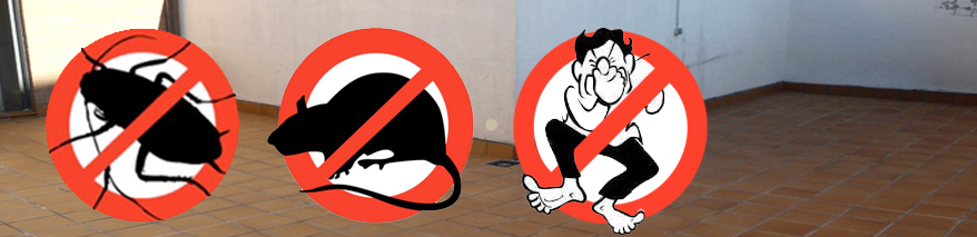 cucarachas y ratas en terrazas