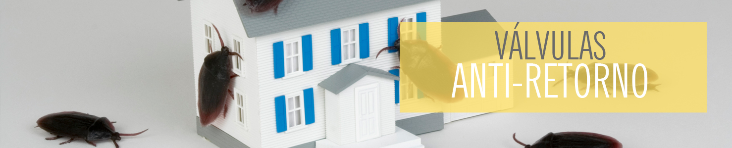 Problemas ratas y roedores en baños y terrazas